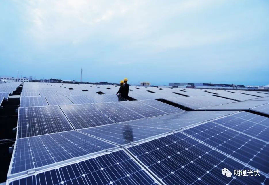 光合科普3 光合科普3